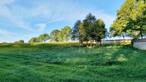 Blick in die nordwestliche Aussenklausur