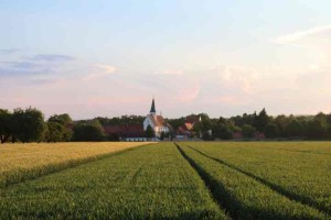 Blick aufs Münster über Felder näher am 6 Juni 2016 (FILEminimizer)