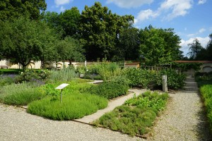 Blühender Kräutergarten Juni 2018