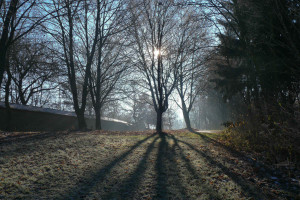 Lichtdurchbruch am Labyrinth Lightroom